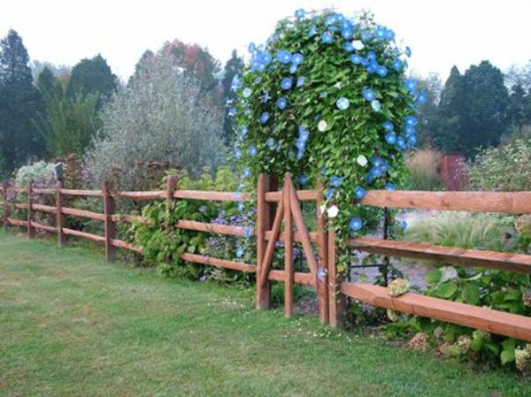 záhradný plot - moderné kvety v modrom