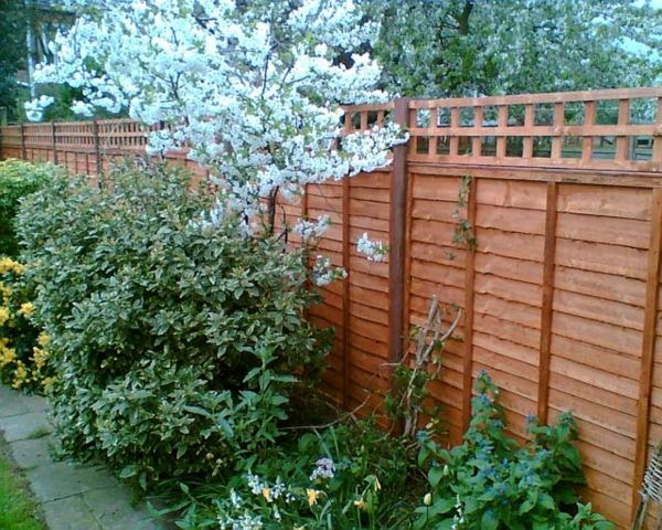 sodo tvora-savarankiškai statomas medis šakas ir augalus