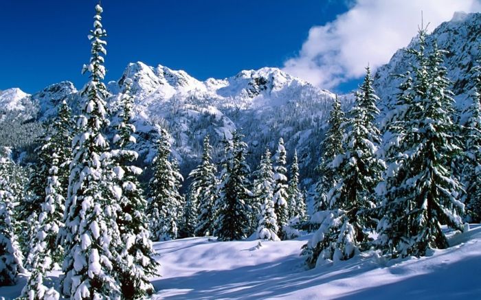 hory-v-Winter-bielo-color-všade