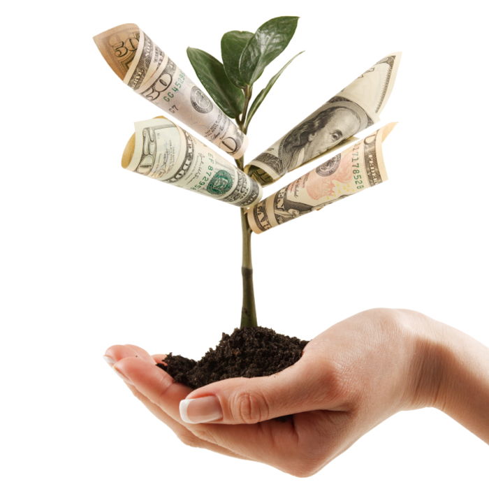 Zaslužite denar iz drevesa, ustvarite kreativne ideje za darila z denarjem, dajte darila hitro in enostavno