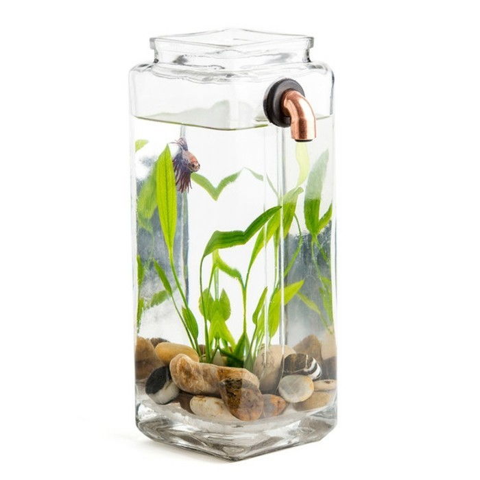 oblikovanje ideje-za-akvarij-akvarij-deco-z-kamni-vodne rastline, majhen akvarij