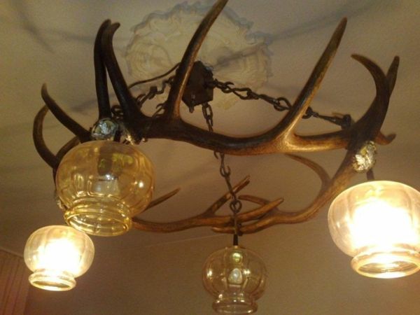 antler-luster-at-home (2)