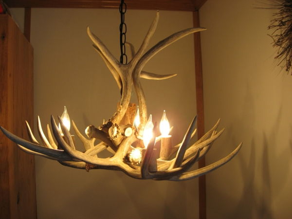 antler-lustre-to-home-3