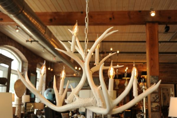 antler-lustre-to-home-5