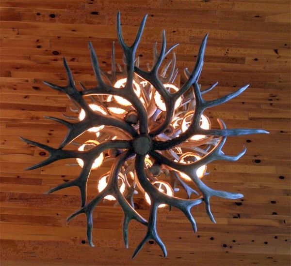 antler-lustre-to-home