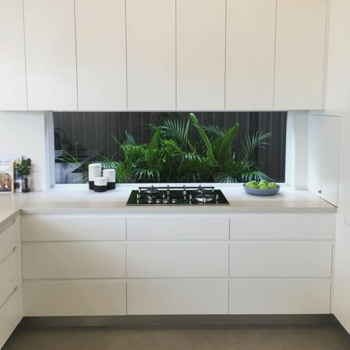 bela kuhinja s stekleno steno z zelenimi rastlinami kot naglas