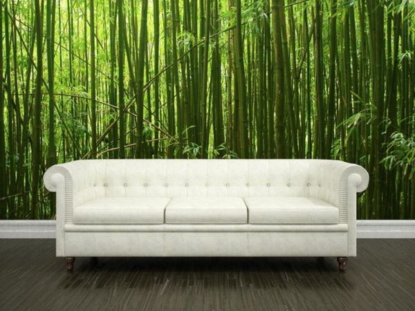 žalia-tapyba Miško kontrasto balta sofa-