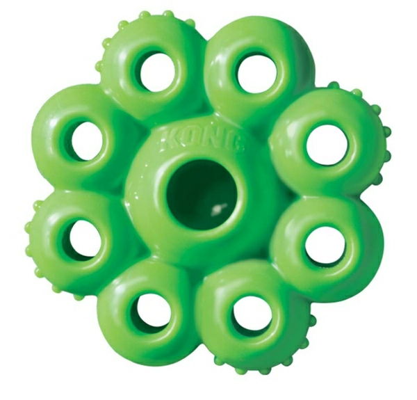 green - toy-dog-toy-pre-psov-cool-idea-for-the-dog