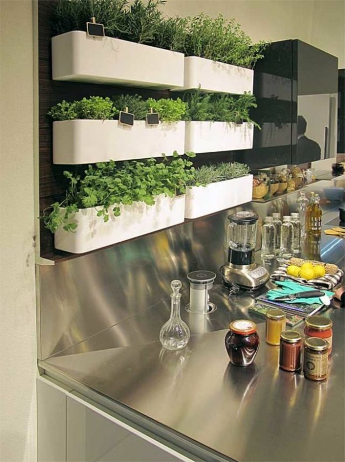 grønn-vegg farge-kjøkken-med-plante-til-vegg