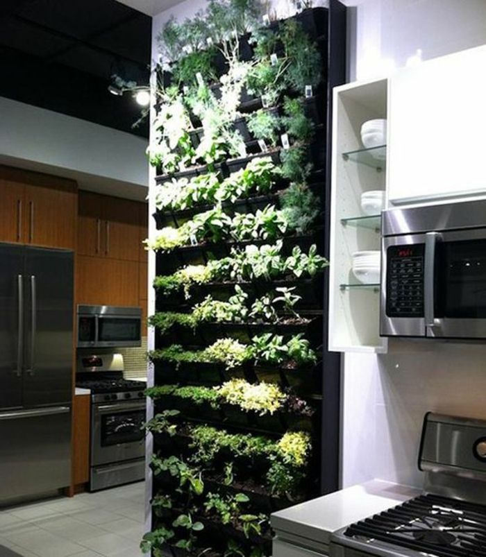 grønn vegg farge-mange plante-to-the-wall-in-the-kjøkken