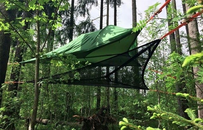 Green-camping telt-grønn-skogen i