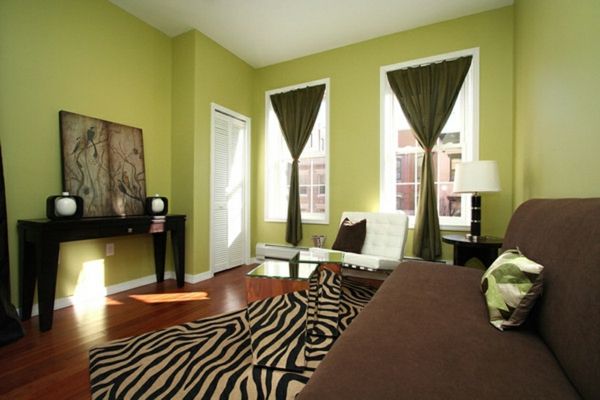 greeny farba na stene-hnedo-sofa-and-zebra koberec-on-the-krajiny drevo