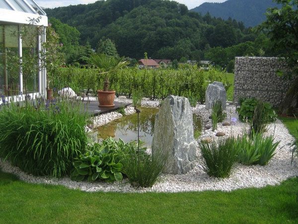 tvenkinys, žali augalai ir akmenys, skirti gražiam sodo dizainui