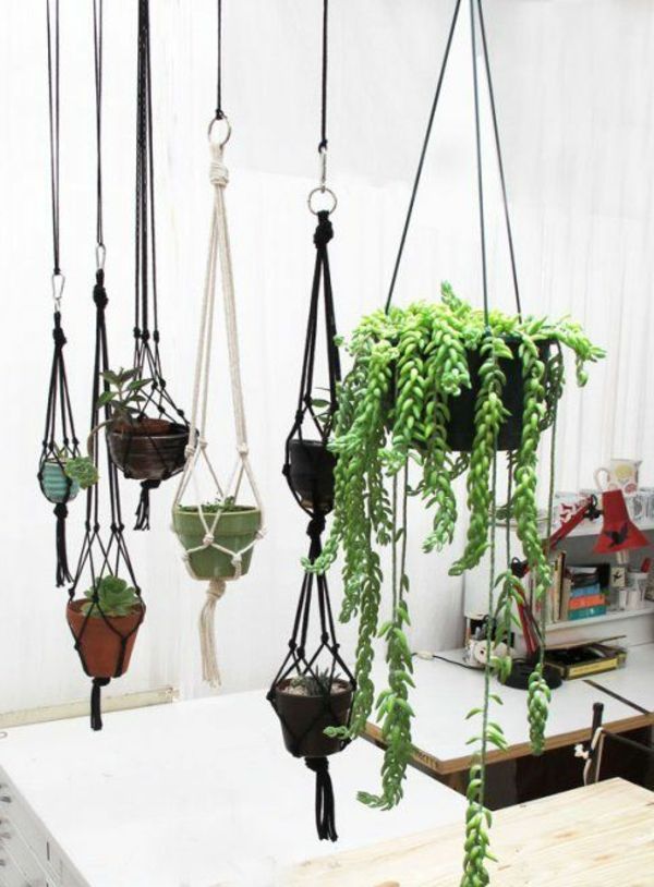 opknoping-kamerplanten-sail-hanging