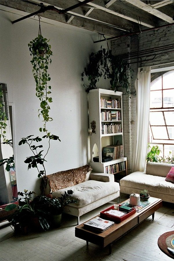 visi-house rastline-dnevna soba