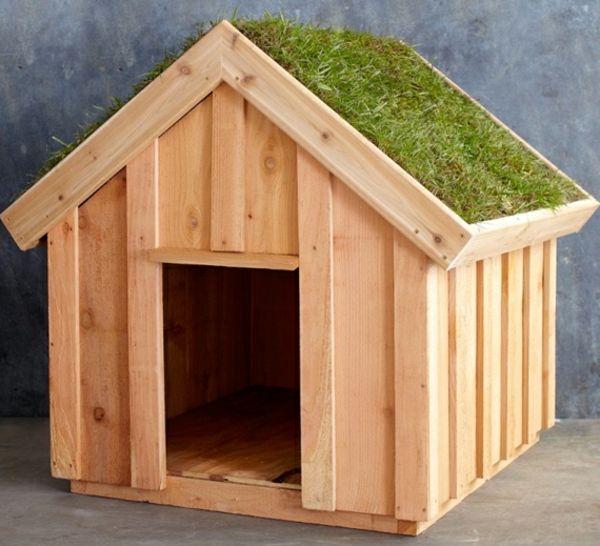 Wooden Hut for hunden selv-bygger