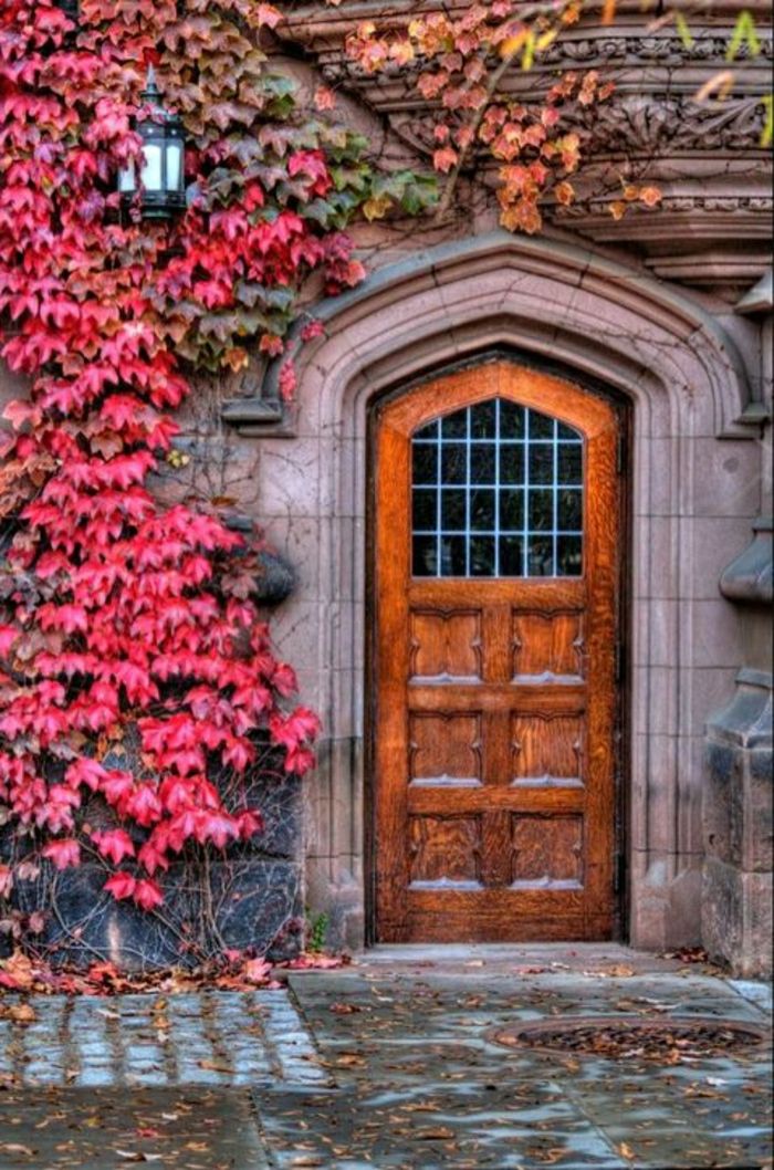 drewniane-drzwi-różowe liście arystokratyczna stary budynek