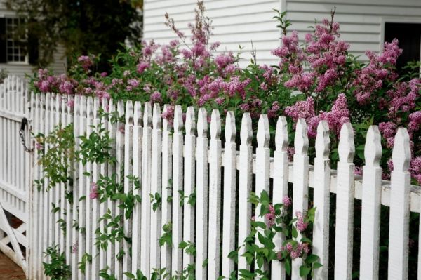 Gražus medinės tvoros - į baltos spalvos