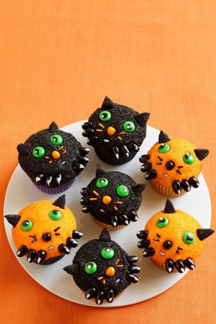 Receitas de Halloween, pequenos gatos em laranja e preto