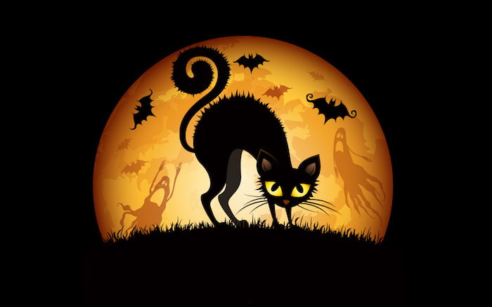 een zwarte kat met de volle maan op de achtergrond - Halloween-afbeeldingen