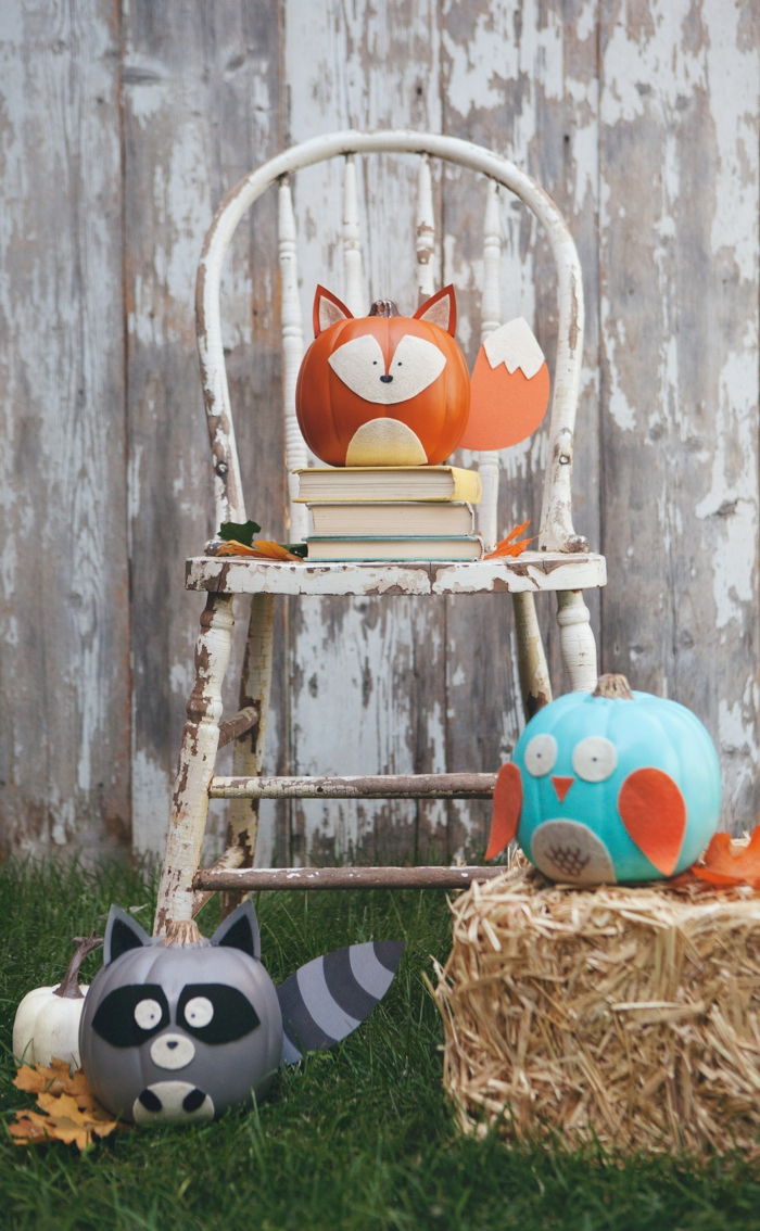 Fazendo raposa, coruja e guaxinim de abóboras, idéias DIY para crianças e adultos, decoração de Halloween