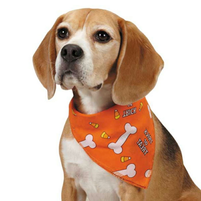 fazzoletto da collo-per-cane-nice-modello-colore arancione