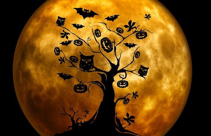 uma árvore de halloween com corujas, abóboras e morcegos lua cheia em segundo plano