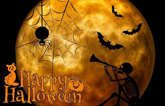 en fullmåne en edderkoppbrikke og ordene Happy Halloween - Halloween bakgrunn