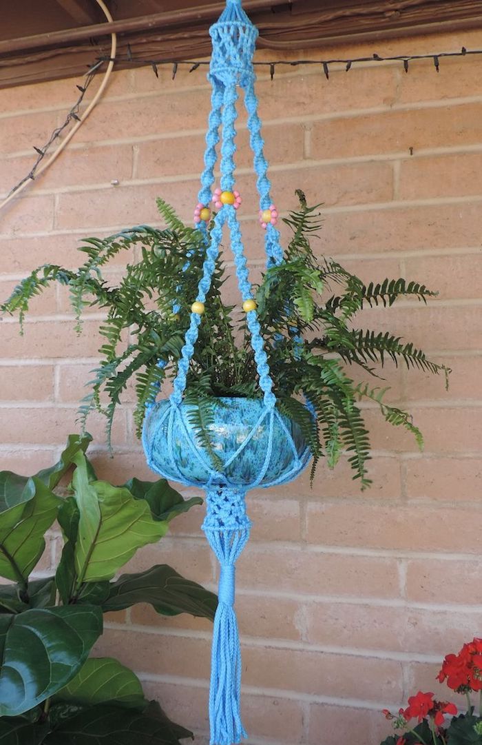 Hangeam själv gör bleu och gröna kombinera vackra deco design växter