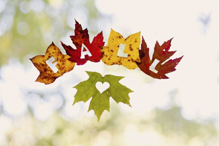 tinker jesenné dekorácie okien, vystrihnúť jesenné lístie, puzdro a srdce, listy v rôznych odtieňoch
