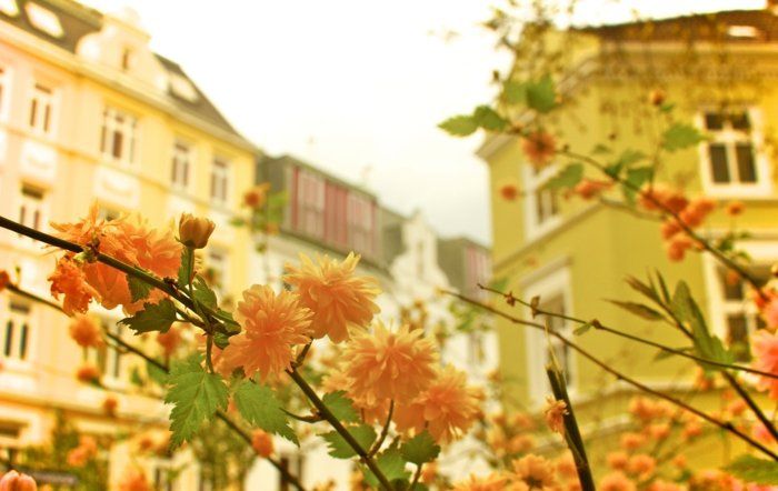 piękne wiosenne start-obrazy-of-the-city