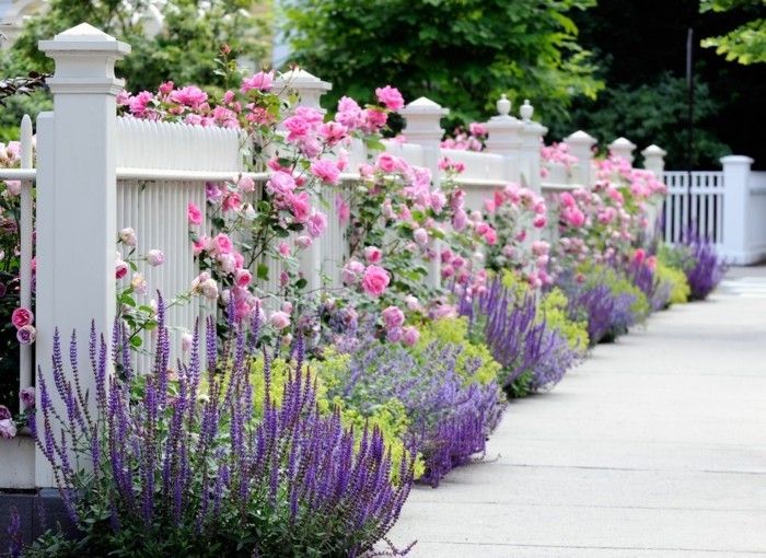 Beautiful-blommor-in-sweet-small-garden-med-fence