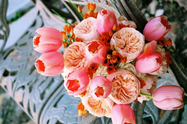 wspaniałe francuskie-tulipany-in-różowo-kolorowych schematach
