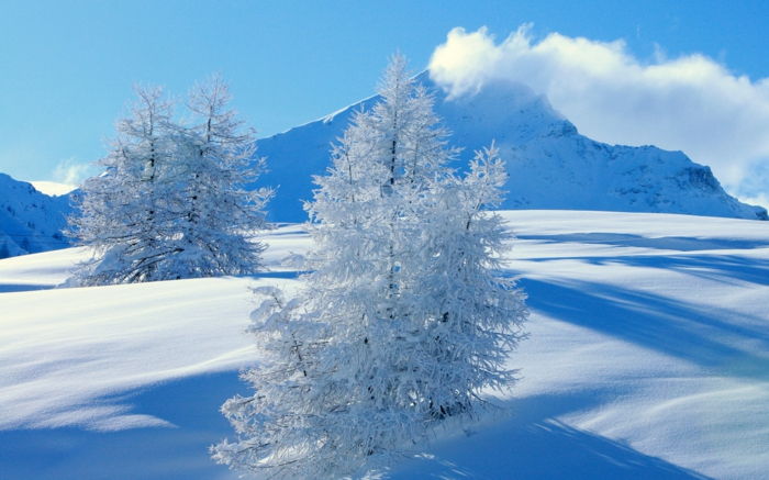 modrá fotka - sneh hory - pekný obrázok