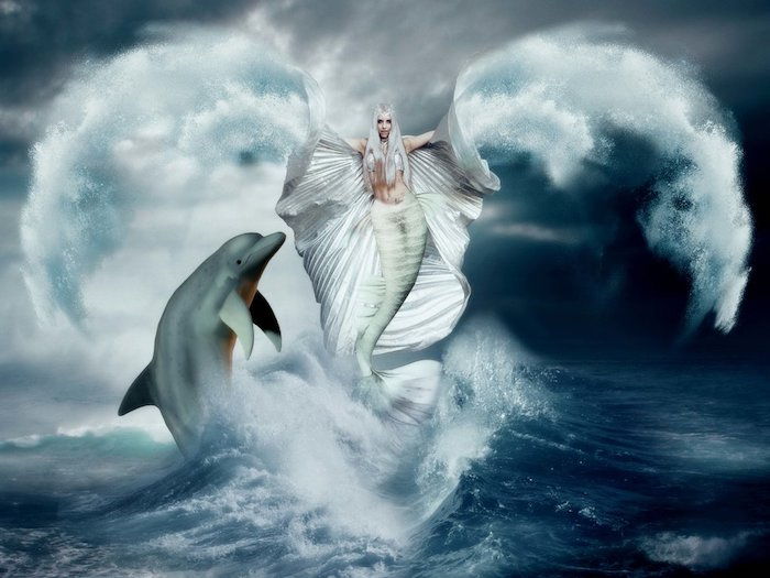 drömlik bild med en grå delfin och en vit sjöjungfrun med en vit kjol och vita vingar