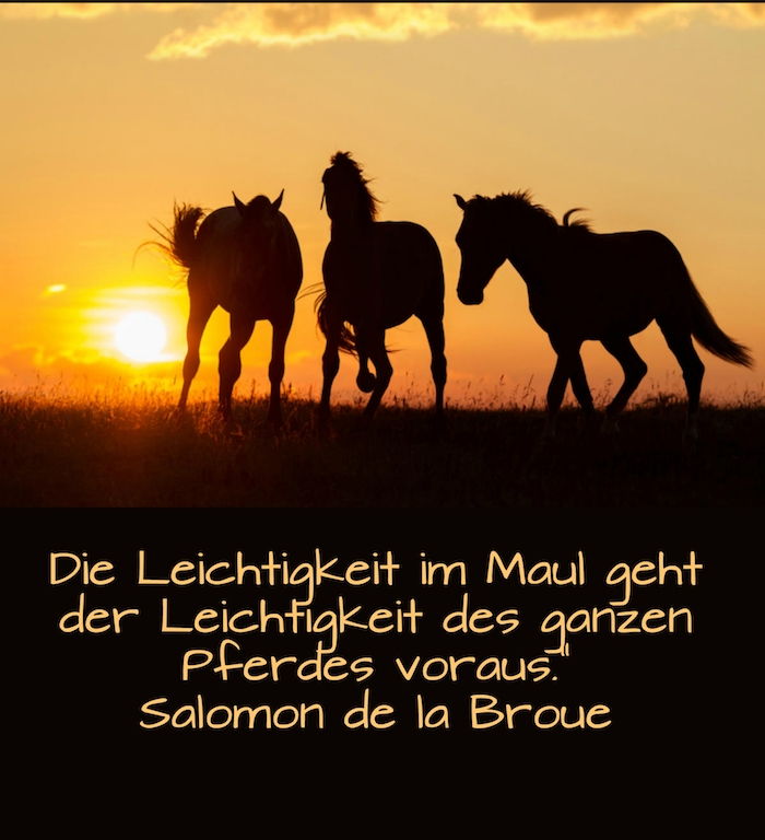 tre svarta vilda hästar med svarta manes i solnedgången, en himmel med en gul sol och moln, hästbild med hästord
