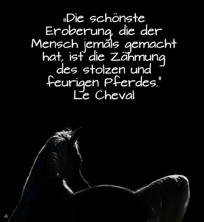 un cal negru și un cal, un cal negru cu o coadă albă și o coală albă, imagini cu cai și cai, un citat din la cheval
