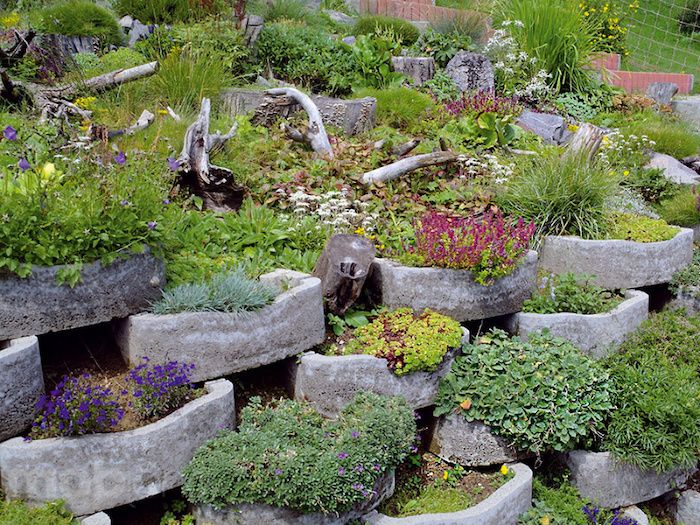 kažkas apie augalinius akmenis, kuriuos galėtumėte labai patinka - čia yra kai kurie augaliniai akmenys su gėlėmis ir žaliaisiais augalais