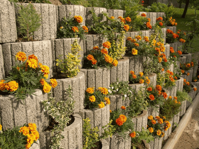 Pažvelkite į šią sodo dizaino idėją - čia rasite mažų augalų akmenų su oranžinėmis mažomis gėlėmis