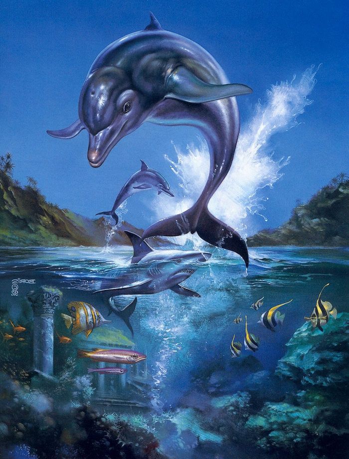 immagine unica con i delfini grigi che saltano dentro e un grande hai blu e piccoli pesci gialli e arancioni galleggianti
