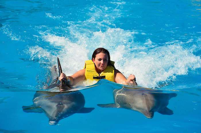 įkvepianti delfinų skraiste - čia yra paveikslėlis su plaukiojančia jauna moterimi ir du pilkieji delfinai plaukiojantys baseine su mėlynu vandeniu