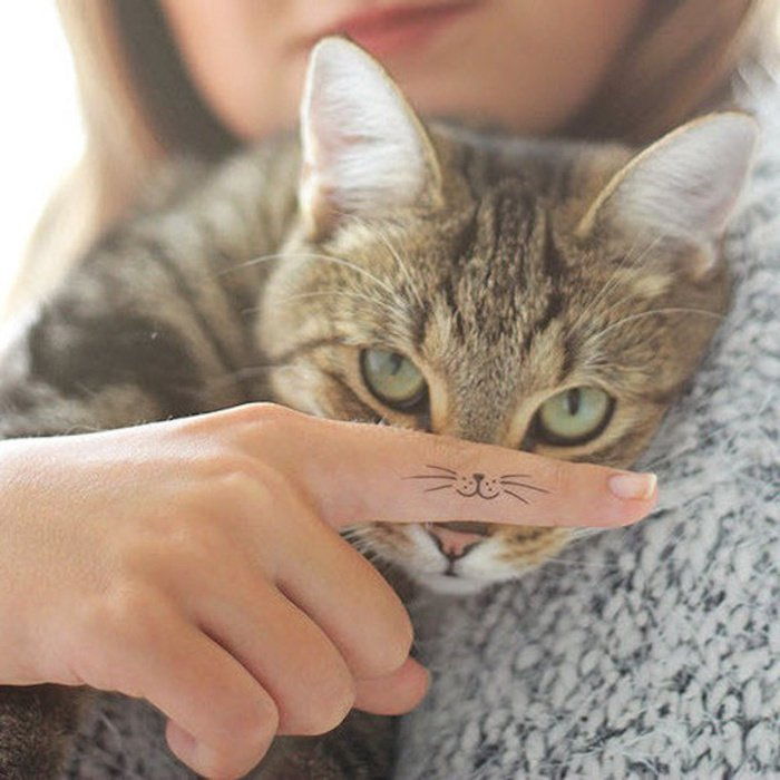 Aici este o altă pisică gri cu ochi verzi și o mână cu degetul cu un tatuaj de pisică