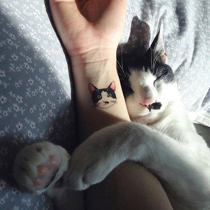 O pisică albă cu un nas roz și o mână cu un tatuaj de pisică mic pe încheietura mâinii
