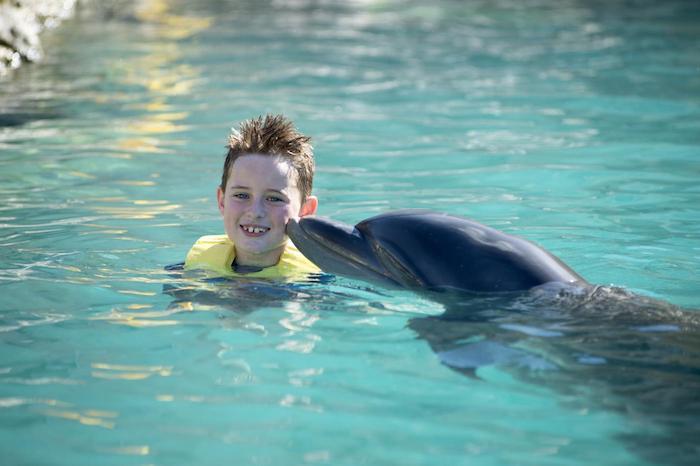 Pažiūrėkite į šį paveikslėlį su vaiku ir dideliu pilkuoju delfinu plaukiojant kartu su mėlyna vandens baseinu