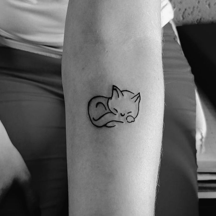 aceasta este o altă idee cu privire la subiectul tatuajelor pisice de mână - aici este o pisică mică, drăguță, de dormit