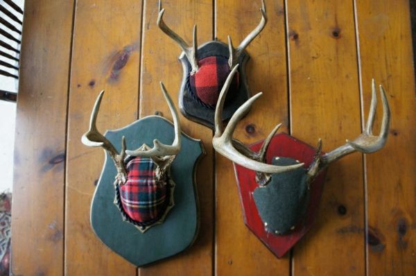 antler-deco-trei capete-to-the-wall-original,