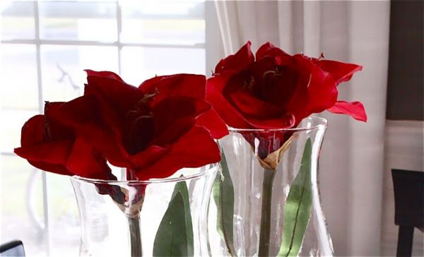 vestuvių dekoravimas raudonos rožės puodeliuose ir užpakalyje - balti užuolaidos