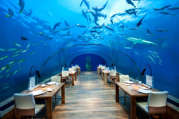 Hotel-the-apă-Maldive-vacanță Maldive-Maldive-turism-Maldive-vacanță Maldive-under-turism
