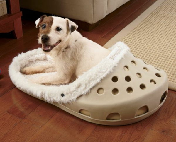 hund-säng-ortopedisk-i-form-av-en-sko - söt hundraser