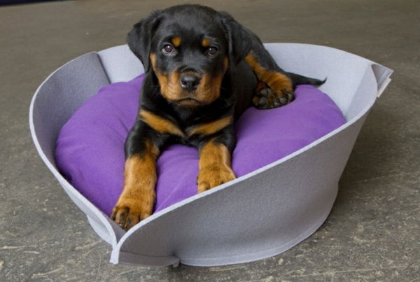 cățeluș de câine pat ortopedic violet - negru